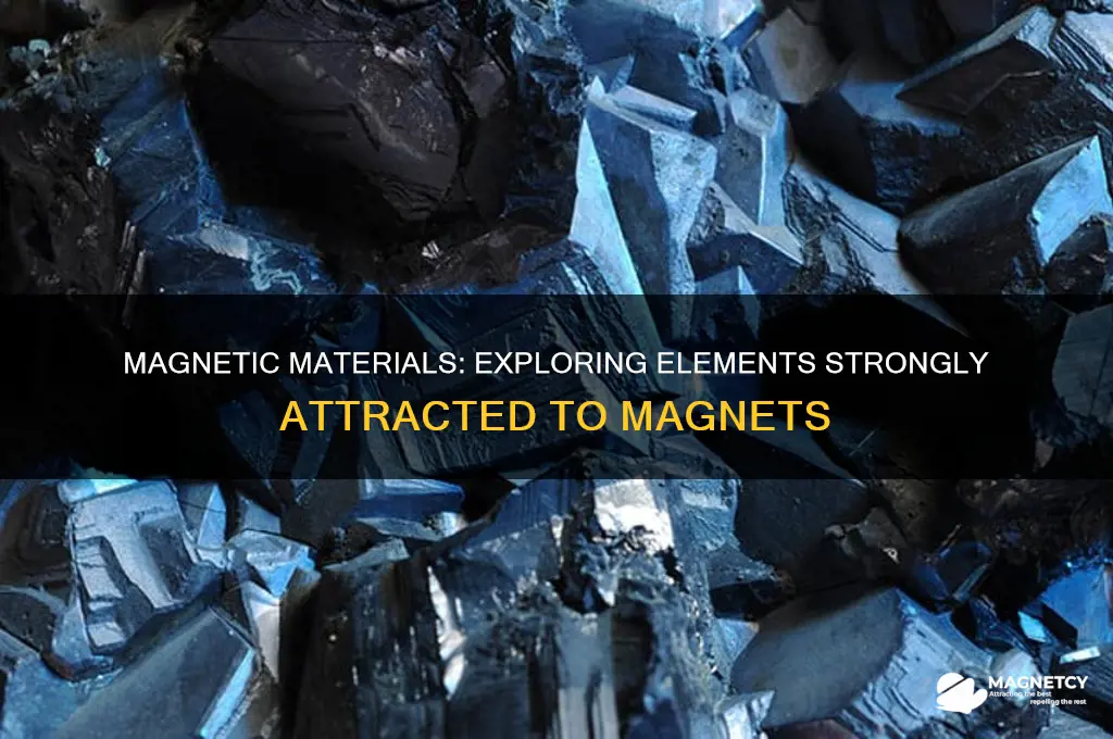 what are elements that are strongly attracted to a magnet