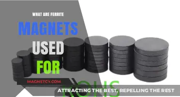 Exploring Ferrite Magnets: Applications and Uses in Everyday Life