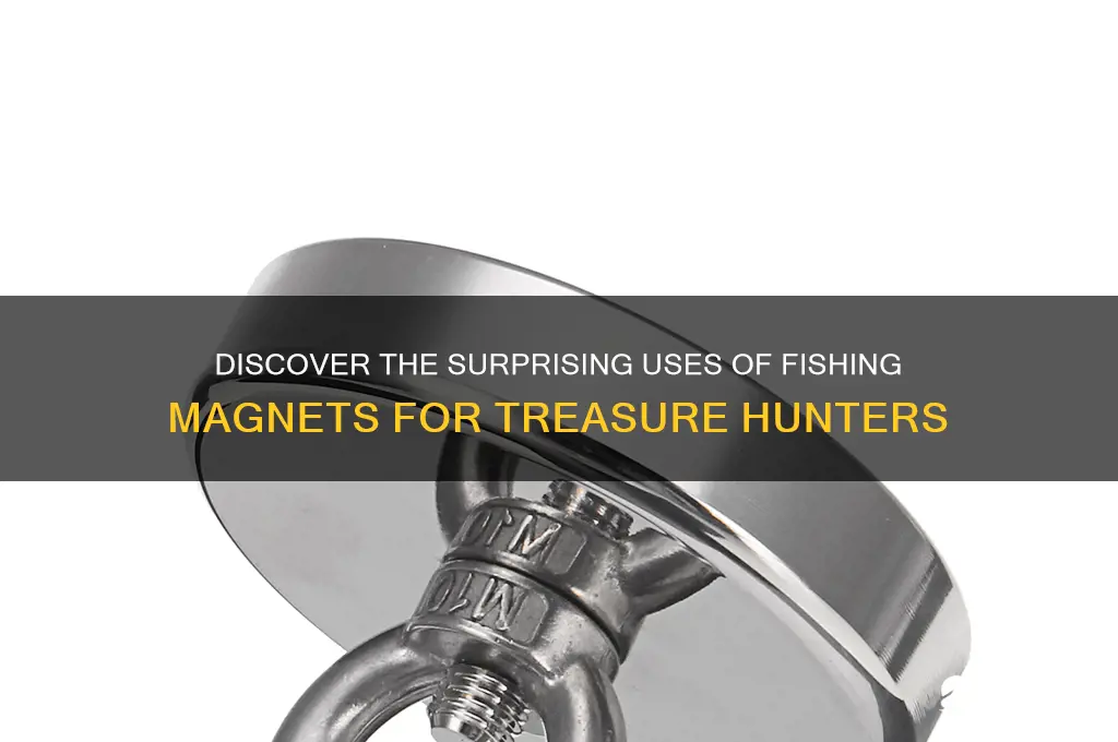 what are fishing magnets used for
