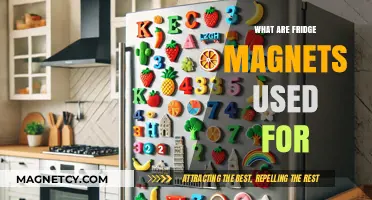 Creative Uses for Fridge Magnets: Beyond Holding Notes and Photos