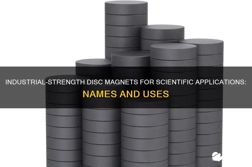 what are industrial strength disc magnets for scientific use called