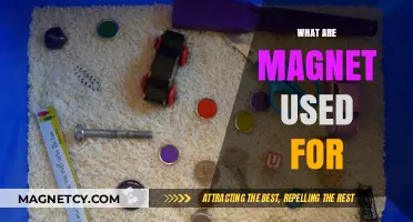 Exploring the Diverse Applications of Magnets in Everyday Life