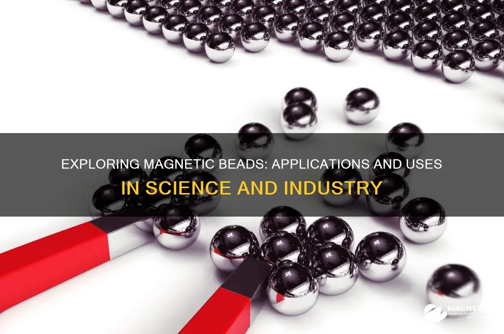 what are magnetic beads used for