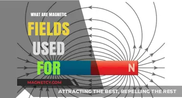 Exploring Magnetic Fields: Practical Applications and Everyday Uses