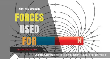 Magnetic Forces: Practical Applications in Technology, Industry, and Everyday Life