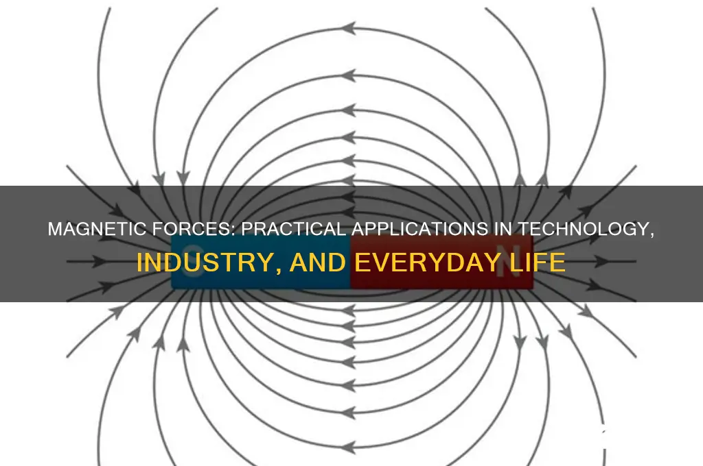 what are magnetic forces used for