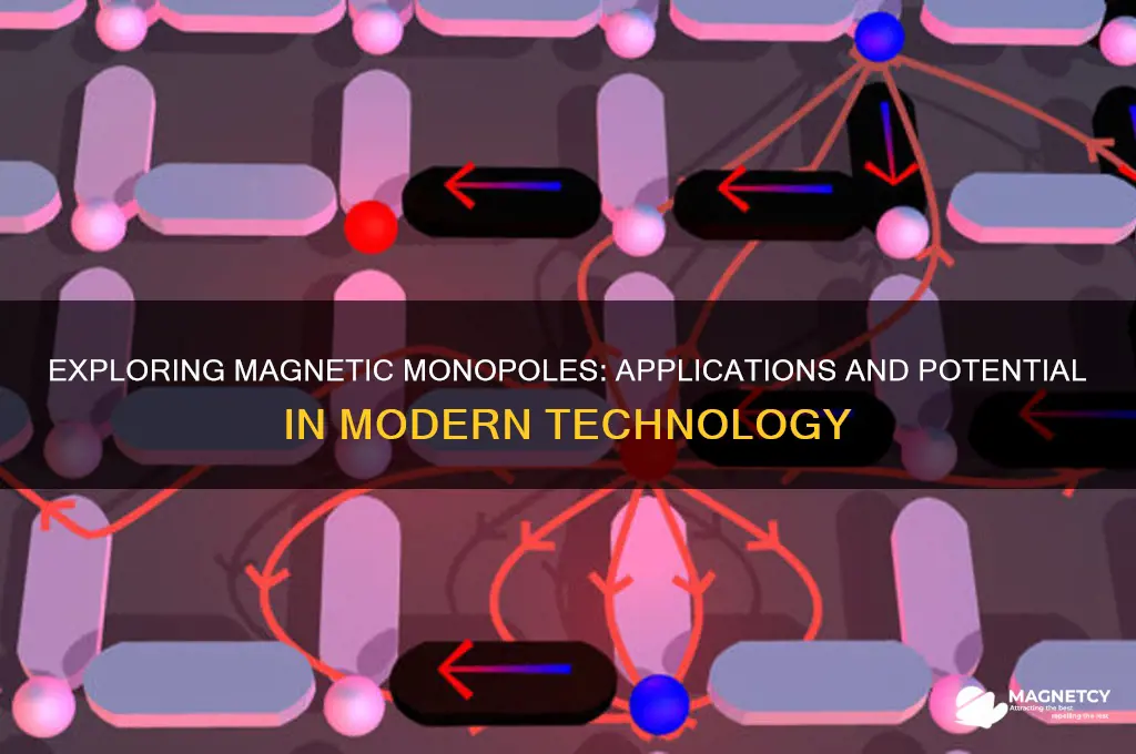 what are magnetic monopoles used for