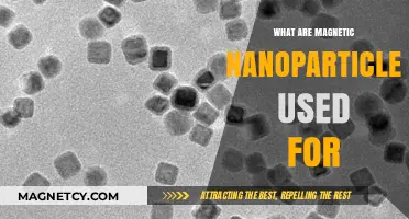 Magnetic Nanoparticles: Revolutionary Applications in Medicine, Tech, and Beyond