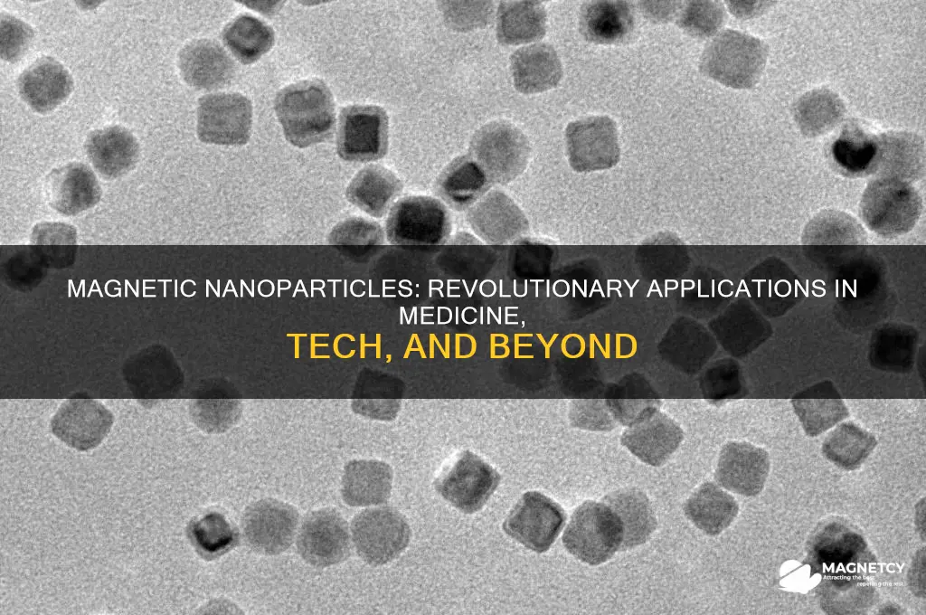 what are magnetic nanoparticles used for