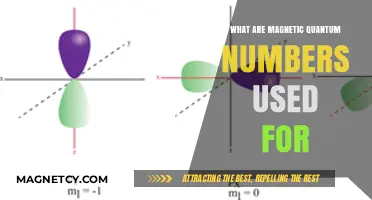 Understanding Magnetic Quantum Numbers: Applications in Atomic Physics and Chemistry