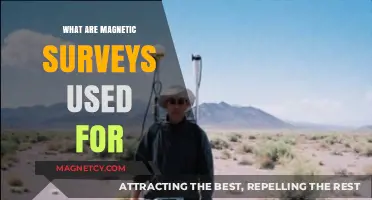 Magnetic Surveys: Uncovering Earth's Secrets and Hidden Structures Below