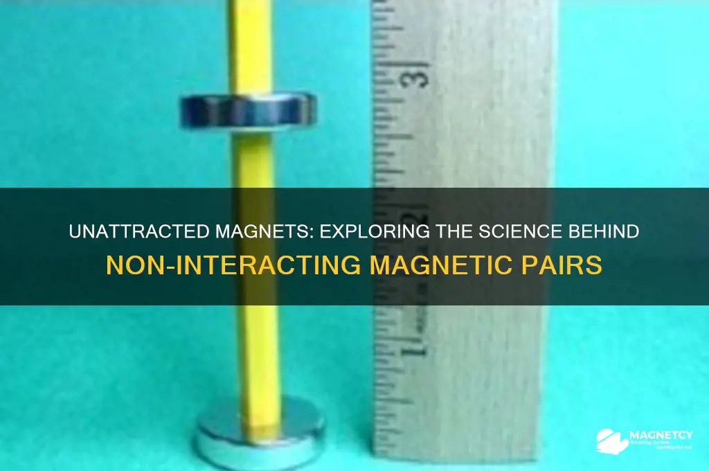 what are magnets that arent attracted to eachother called