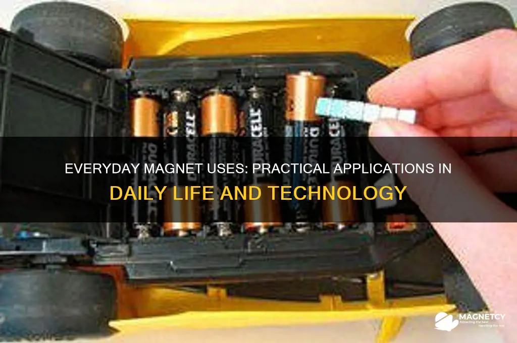 what are magnets used for day to day