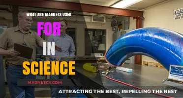Exploring Magnets: Scientific Applications and Uses in Modern Research