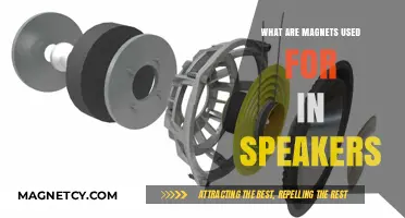Magnets in Speakers: Essential Functions and How They Enhance Sound