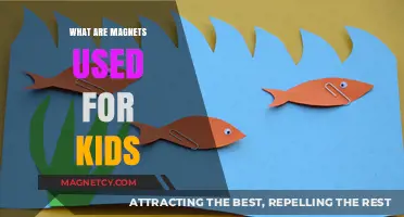 Discovering Magnets: Fun Uses for Curious Kids to Explore