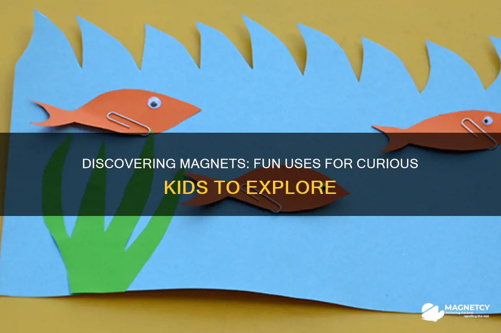 what are magnets used for kids