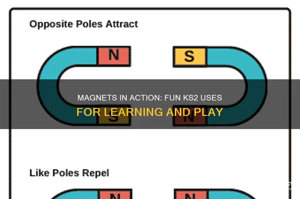 what are magnets used for ks2