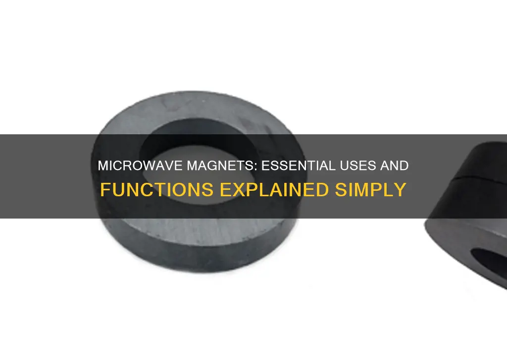 what are microwave magnets used for