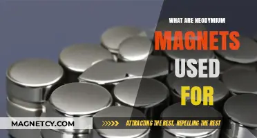 Exploring Neodymium Magnets: Applications and Uses in Modern Technology