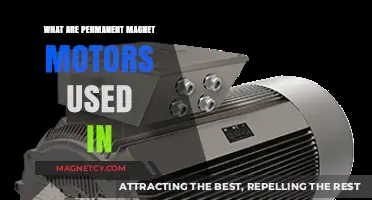 Permanent Magnet Motors: Applications in Modern Technology and Industry