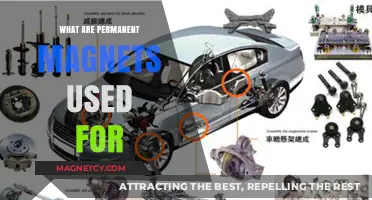 Exploring Permanent Magnets: Applications and Uses in Daily Life