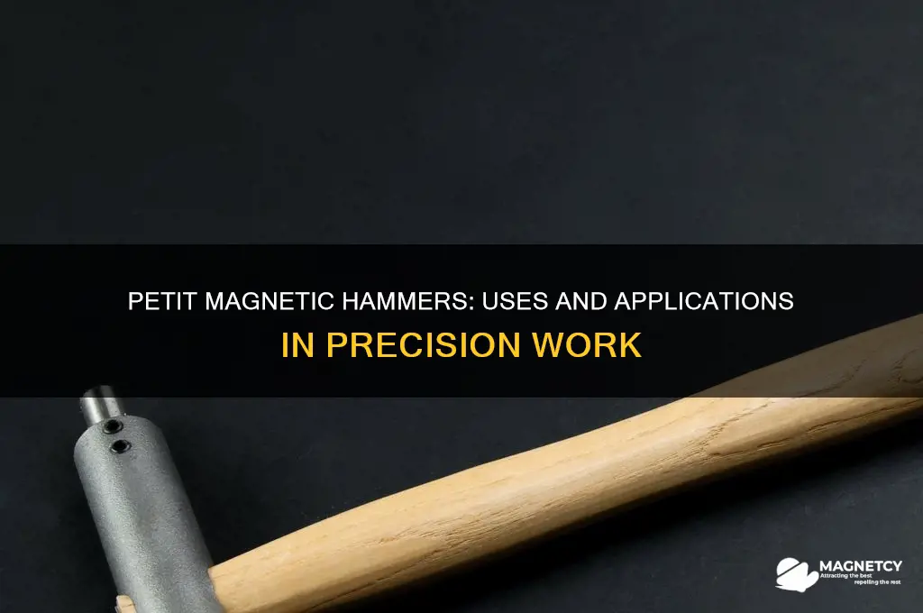 what are petit magnetic hammers used for