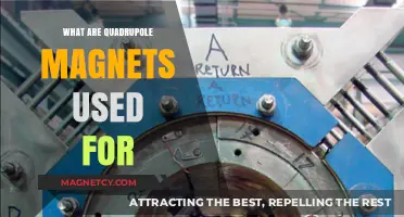 Quadrupole Magnets: Applications in Particle Physics and Beam Focusing