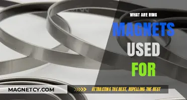 Exploring Ring Magnets: Practical Applications and Uses in Daily Life