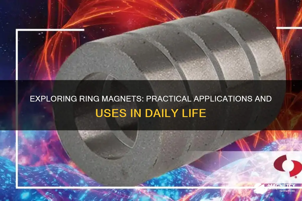 what are ring magnets used for