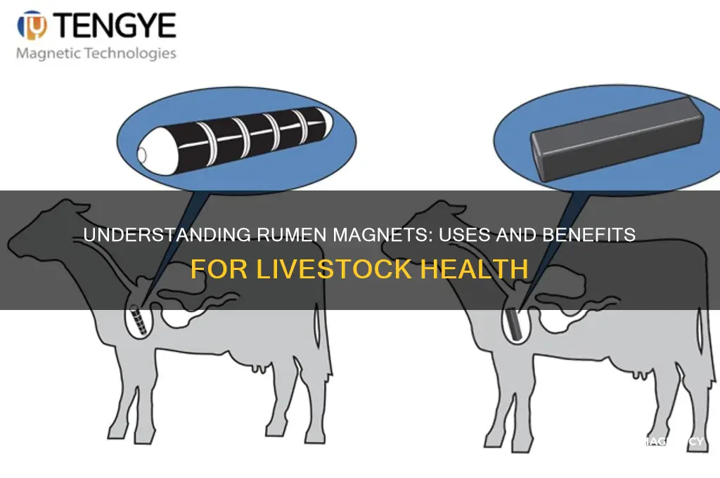 what are rumen magnets used for