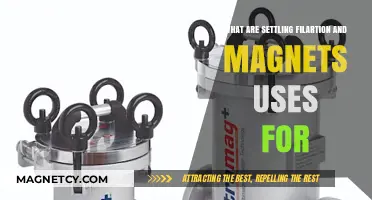 Settling Filtration and Magnets: Practical Uses and Applications Explained