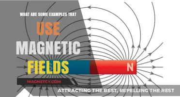 Exploring Magnetic Fields: Real-World Applications and Everyday Examples
