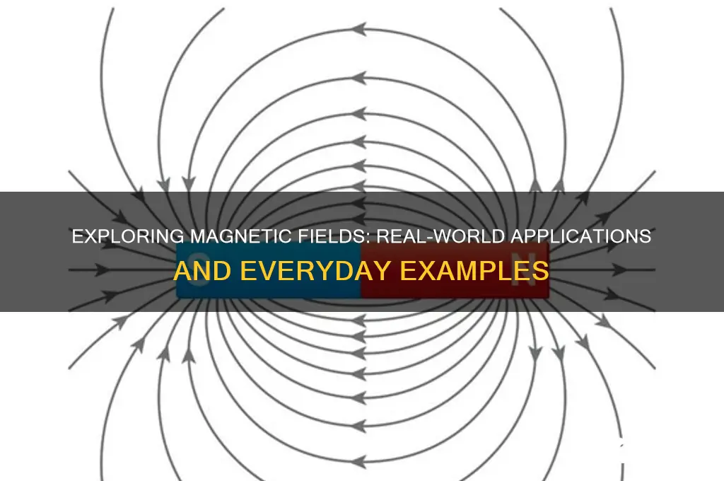 what are some examples that use magnetic fields