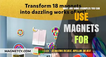 Creative Magnet Uses: Practical Examples for Everyday Applications and Projects