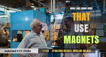 Magnetic Careers: Exploring Jobs That Rely on Magnet Technology