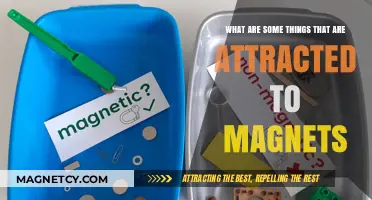 Magnetic Marvels: Exploring Objects and Materials Drawn to Magnets
