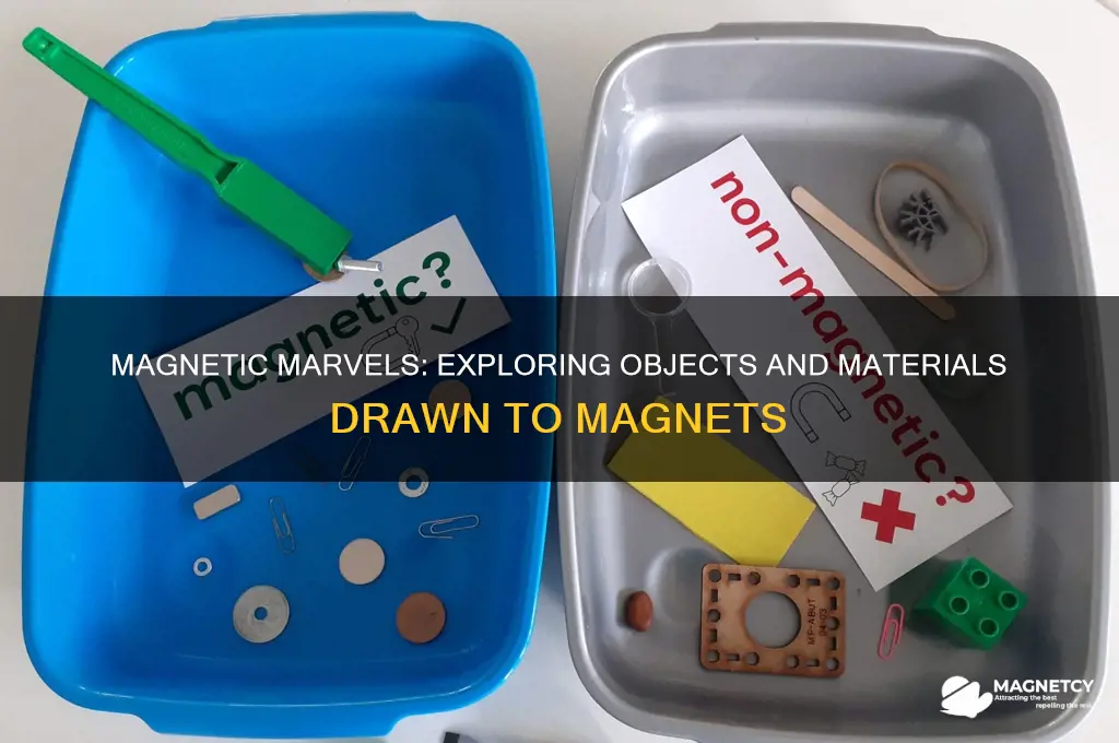 what are some things that are attracted to magnets