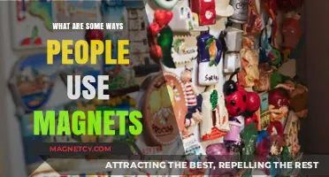 Creative Magnet Uses: Exploring Practical and Innovative Applications in Daily Life