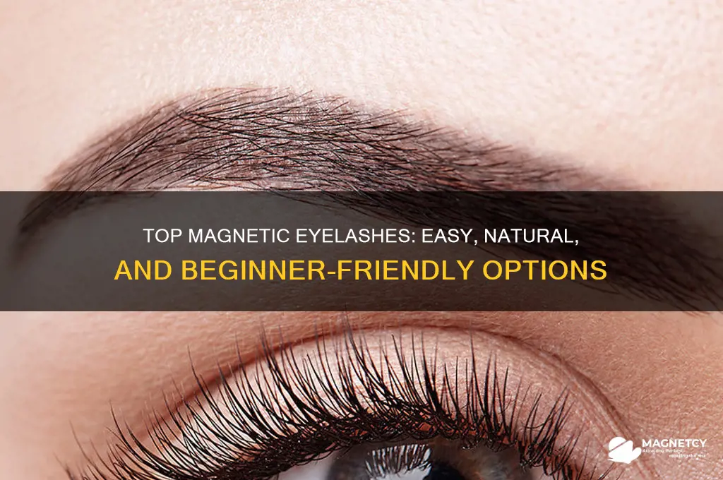 what are the best and easiest to use magnetic eyelashes