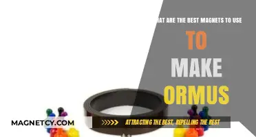 Top Magnets for Crafting Ormus: A Comprehensive Guide to Selection