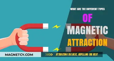 Exploring Magnetic Attraction: Types and Their Unique Properties