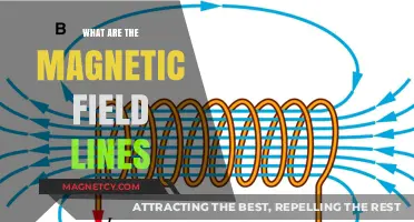 Exploring the Invisible Force: Understanding Magnetic Field Lines