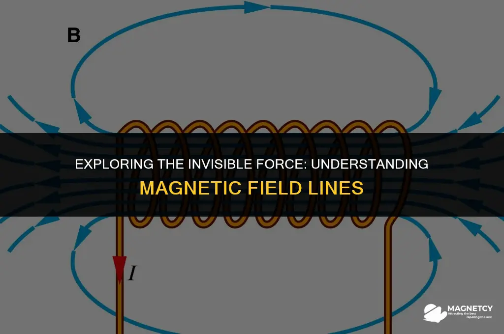 what are the magnetic field lines