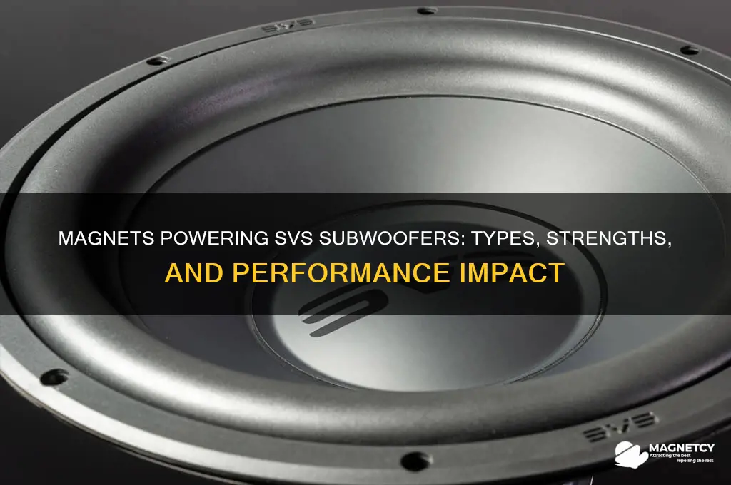 what are the magnets used in svs subwoofers