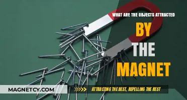 Magnetic Attraction: Exploring Objects Drawn to Magnets and Why