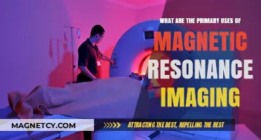 Exploring Key Applications of Magnetic Resonance Imaging in Modern Medicine