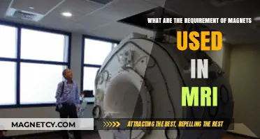 Essential Magnet Requirements for High-Performance MRI Systems Explained