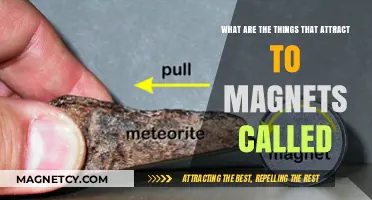 Magnetic Materials: Exploring Substances That Attract to Magnets