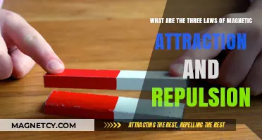 Understanding Magnetic Forces: Laws of Attraction and Repulsion Explained